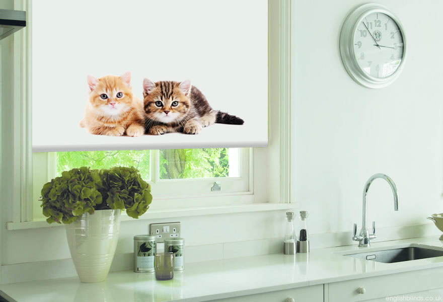 You are asian print cat looking out window Asian print cat looking out window pity, that