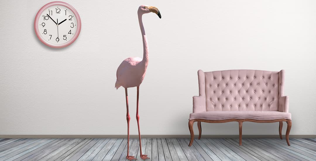 Pink flamingos interior