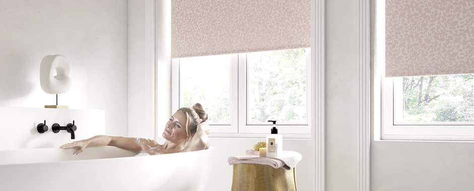 Bathroom blinds