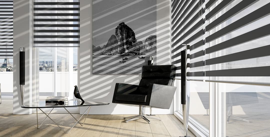 Luxury black day and night blinds