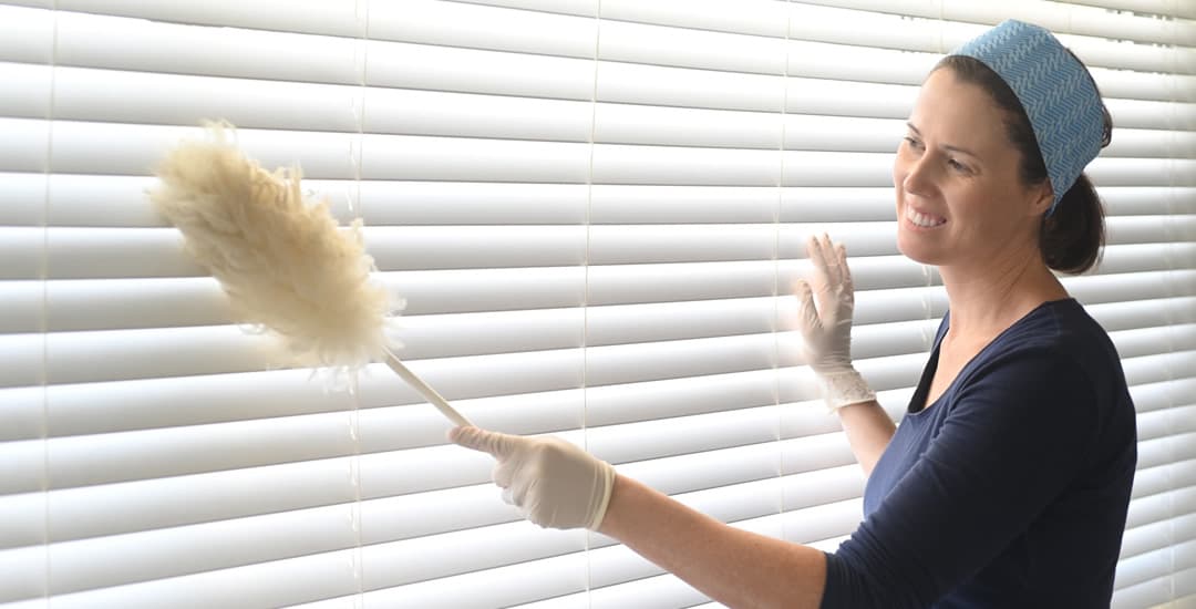Woman dusting venetian blinds