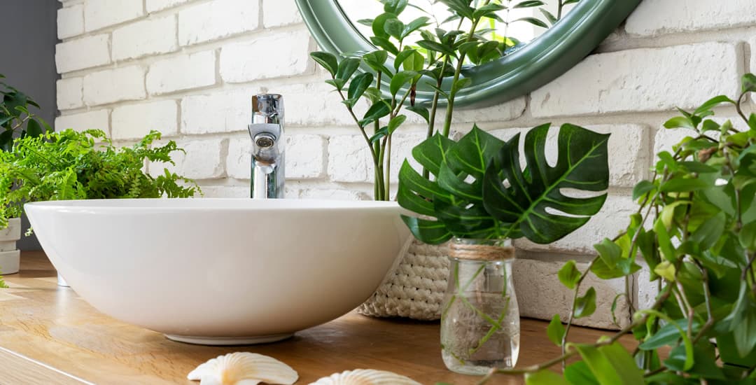 Plants in a small bathroom 