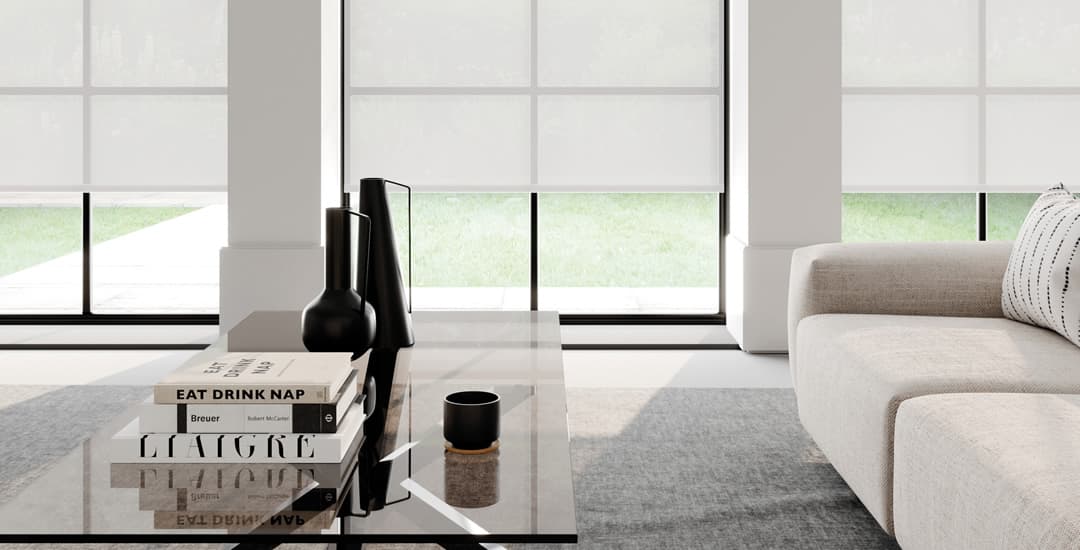 Plain white roller blinds in contemporary living room