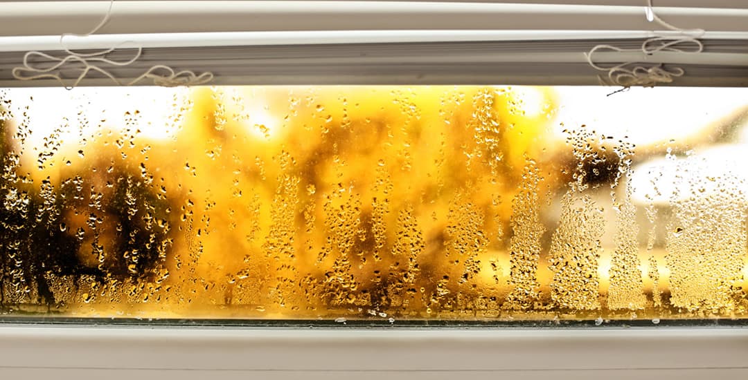 Condensation on a window behind Venetian blinds