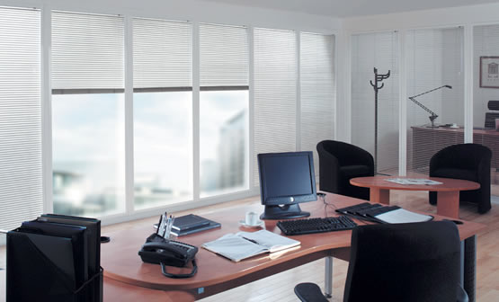 Office Venetian Blinds