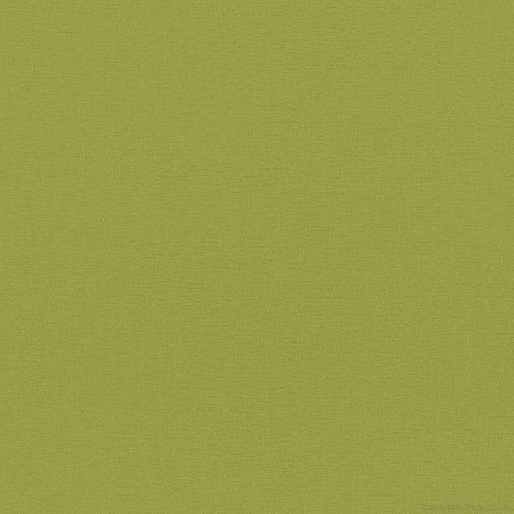 Bayonne Lime Zoom