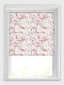 Flamingos