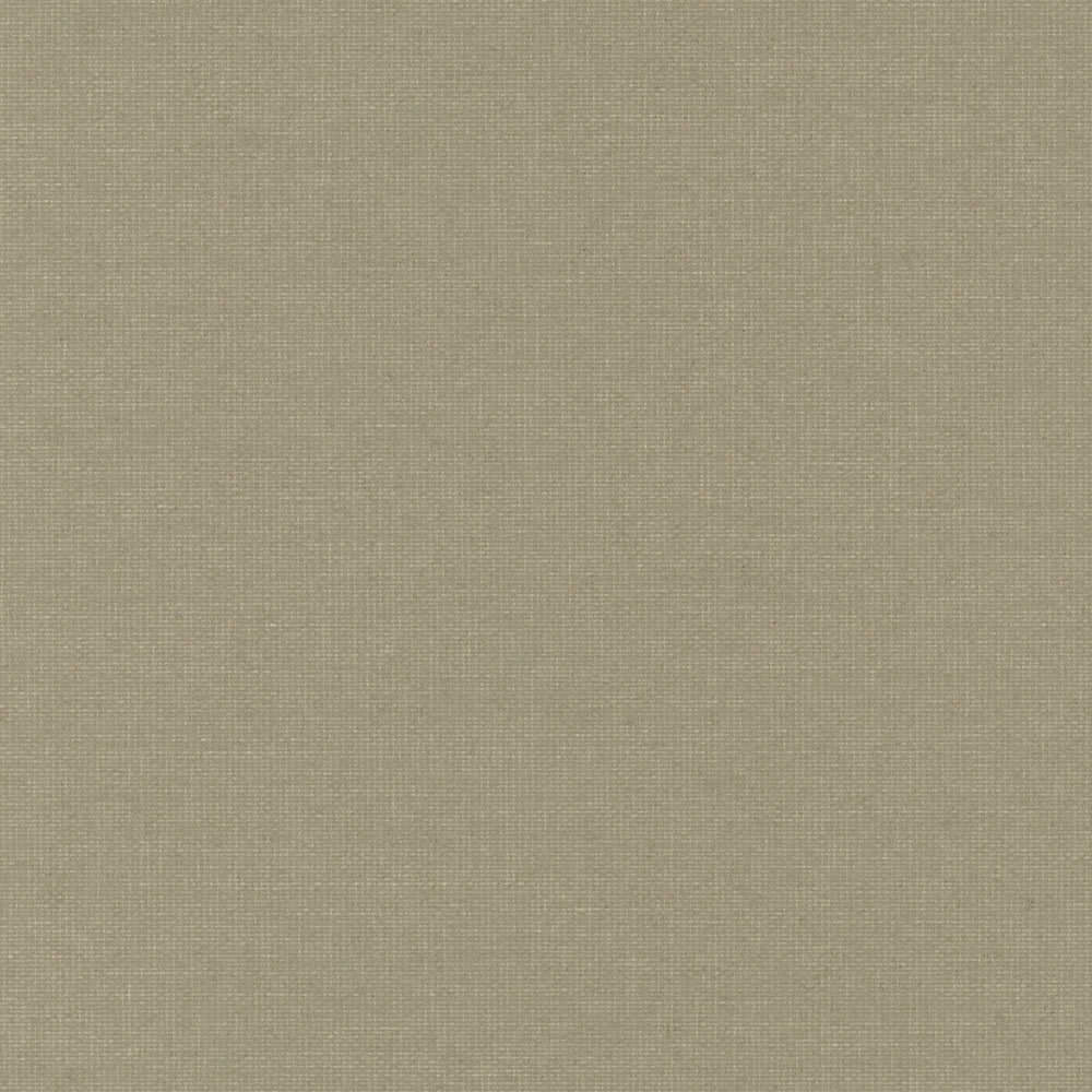 Gala Putty Zoom