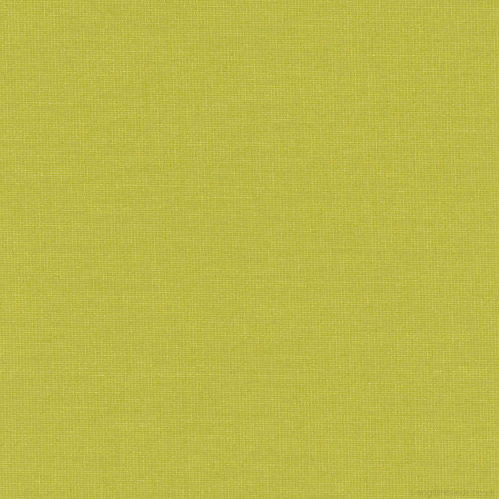 Gala Vine Zoom