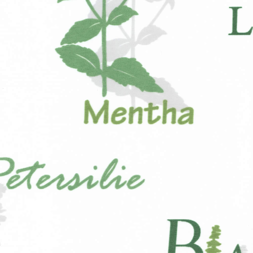 Herb Garden Basil Zoom