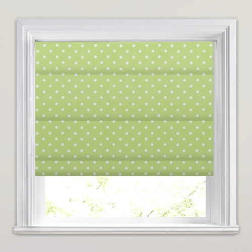 Nancy Acorn Roman Blind