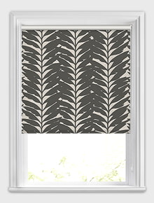 Mimosa Ebony