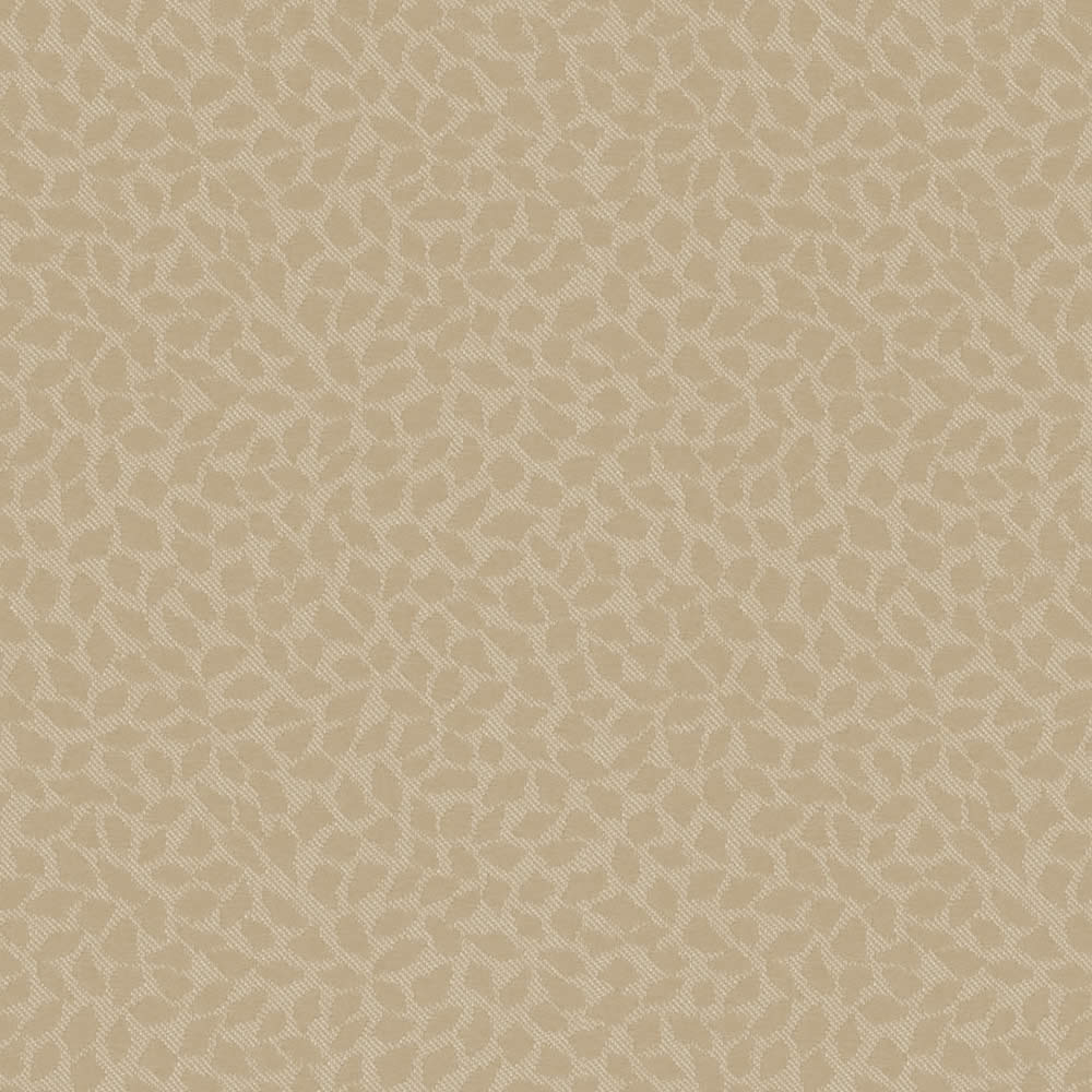 Agila Stone Zoom