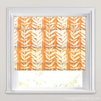 Morella Mandarin