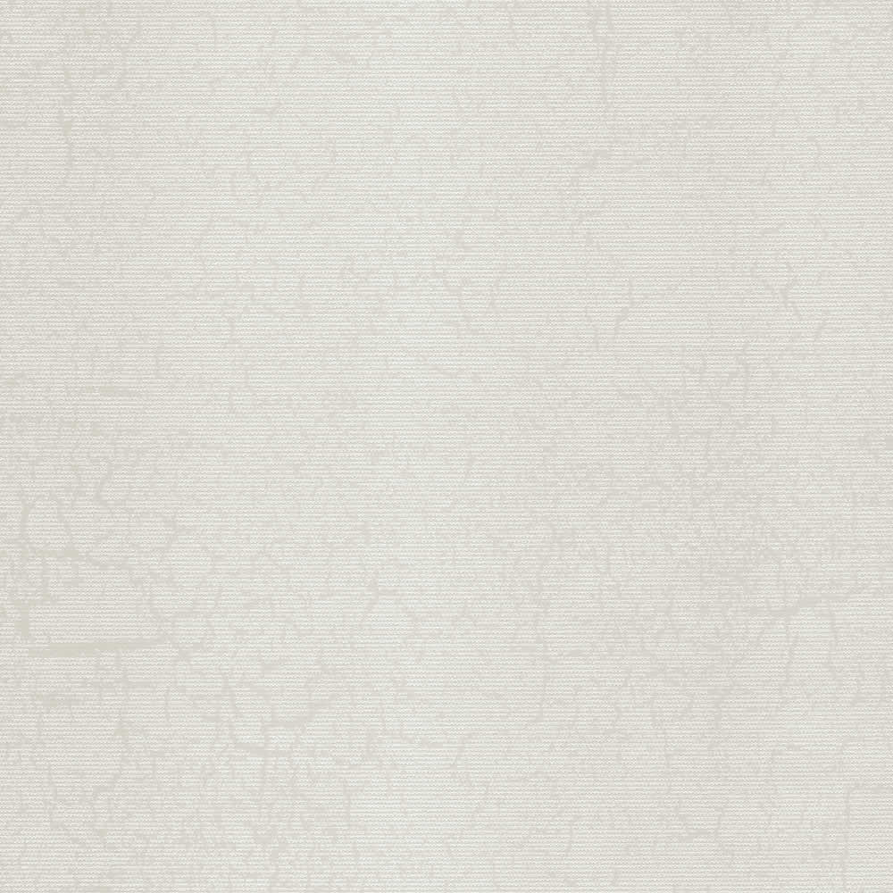 Planet Porcelain Zoom