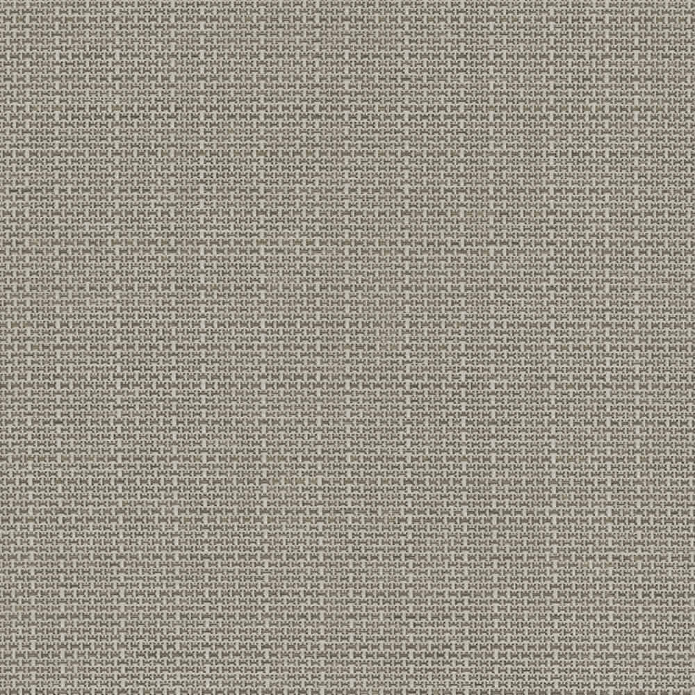 Angulo Taupe Zoom