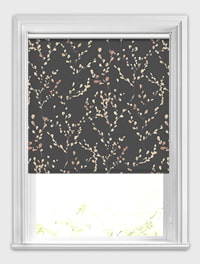 Salix Dusky Rose
