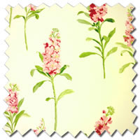 Stocks Chintz