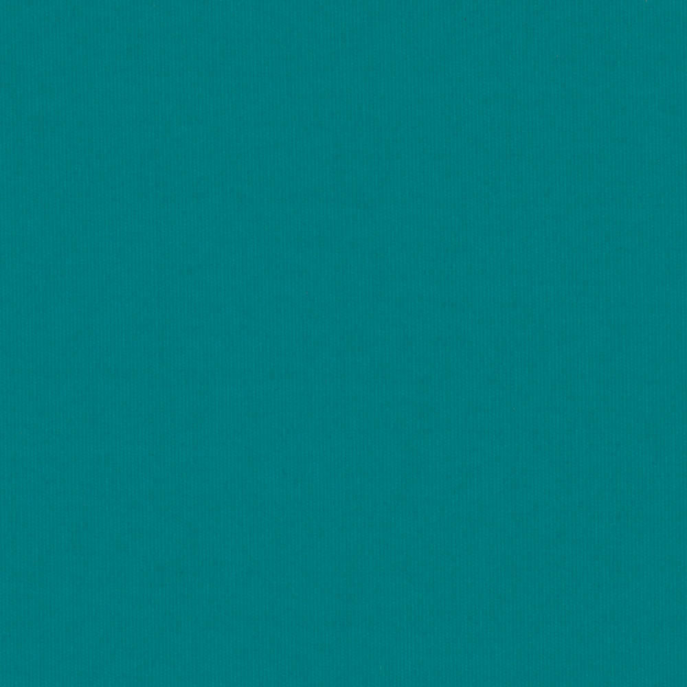 Vitsy Teal Zoom