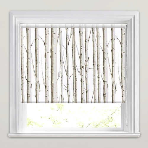 Forest Silver Birch Roller Blind